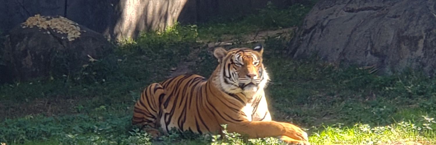 JohnPoggioli's profile banner image