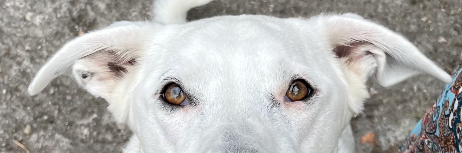 pottorffsquiff's profile banner image