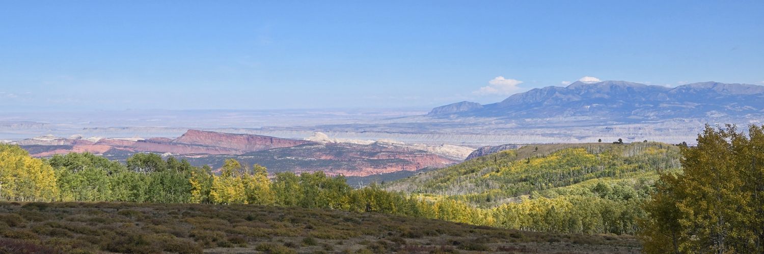 Don Estep banner