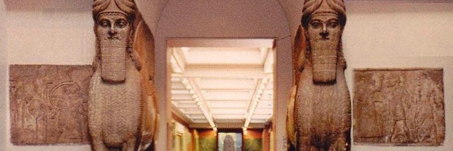 ZSMuseum's profile banner image