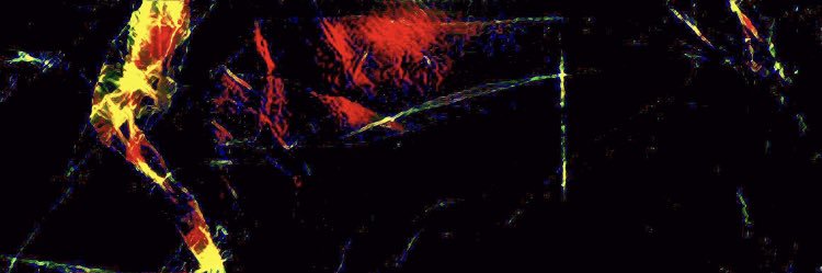 cscheid42's profile banner image