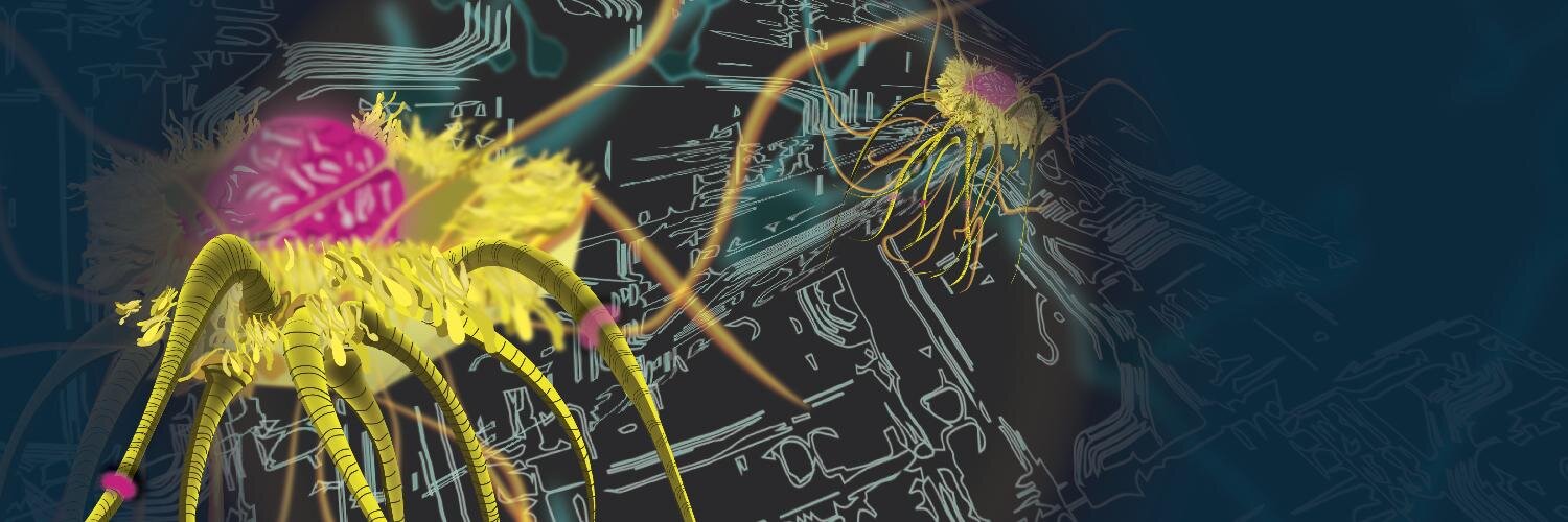yelomba's profile banner image