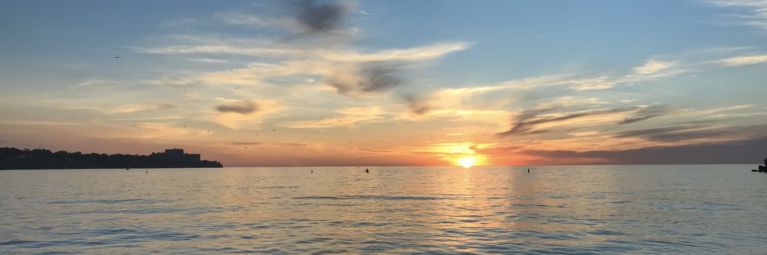 MeganKsi's profile banner image