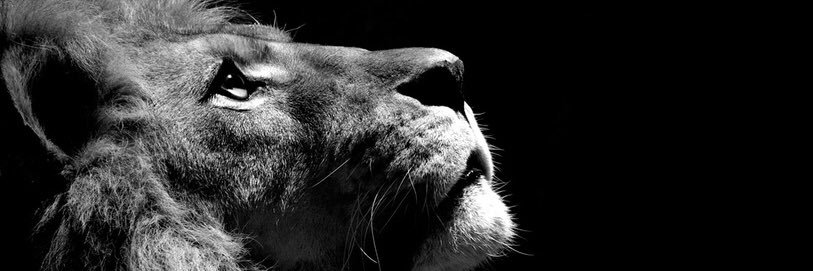 RudyMrb's profile banner image