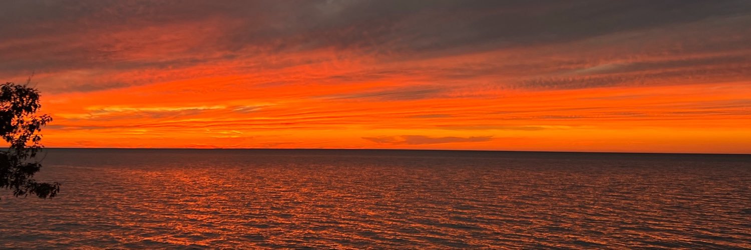HelenBusch4's profile banner image