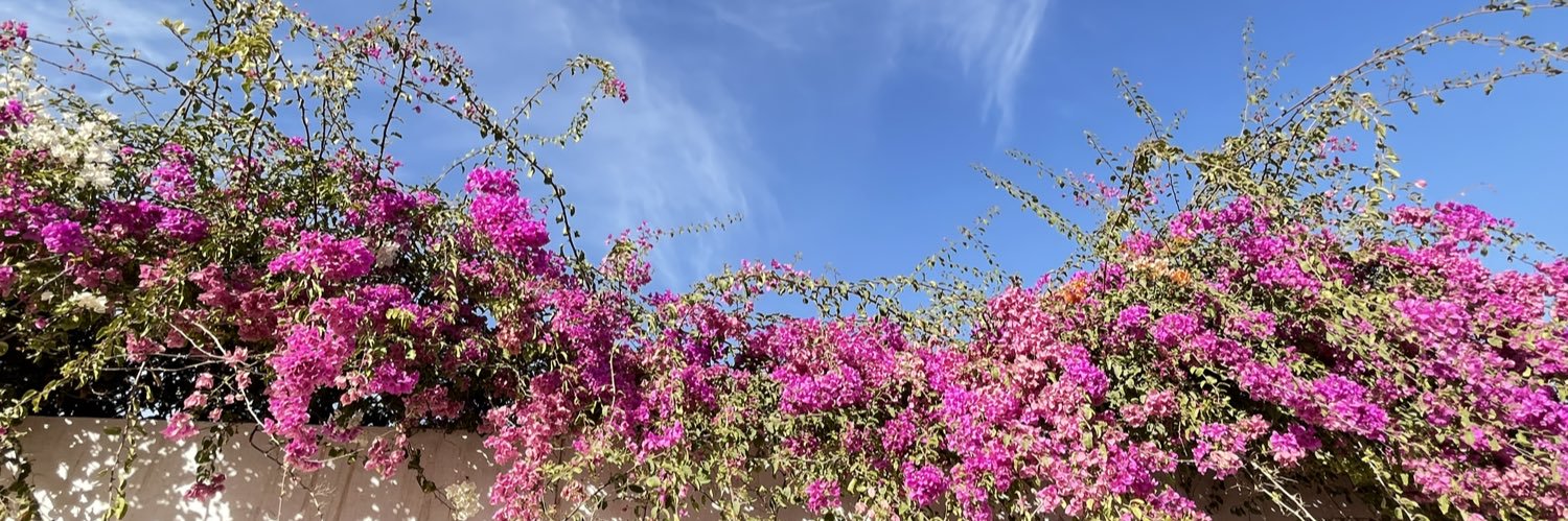 sbgmmmm's profile banner image