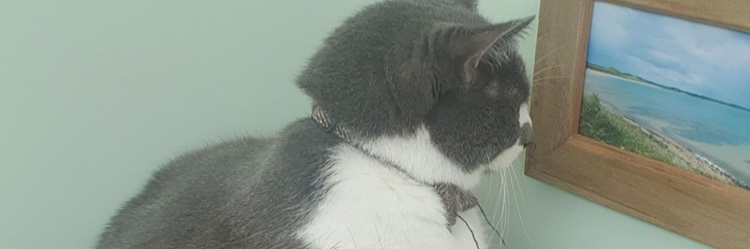 thomassissons's profile banner image
