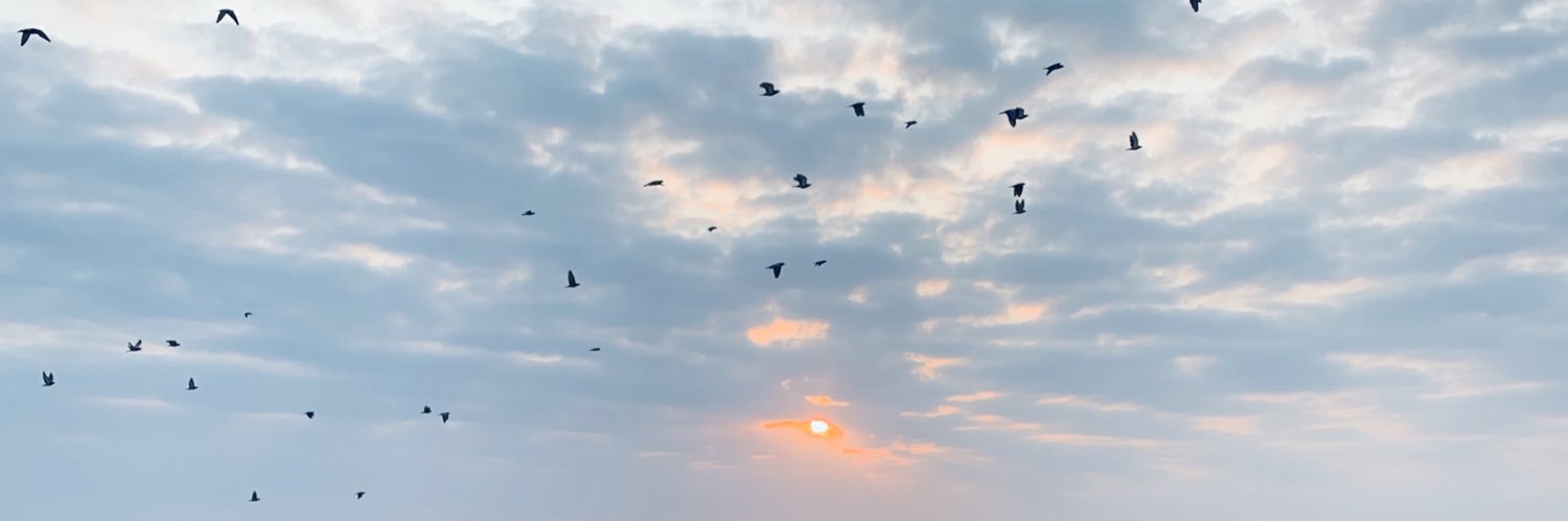 scelom123's profile banner image