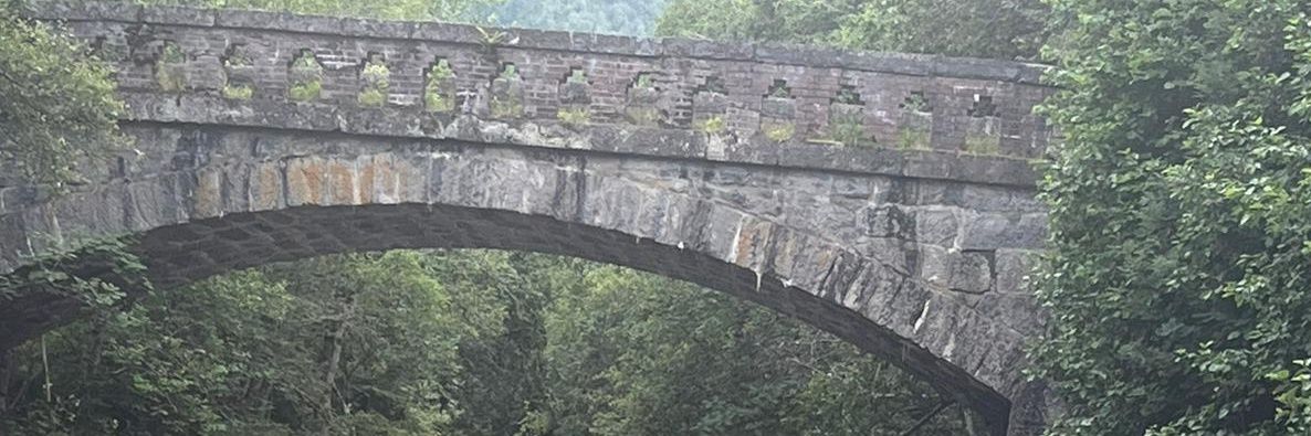 Siri Skorgen 🇧🇻 in 🇪🇦 banner