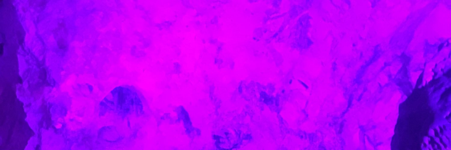Lilygaco's profile banner image