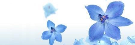 amitdbiyani's profile banner image