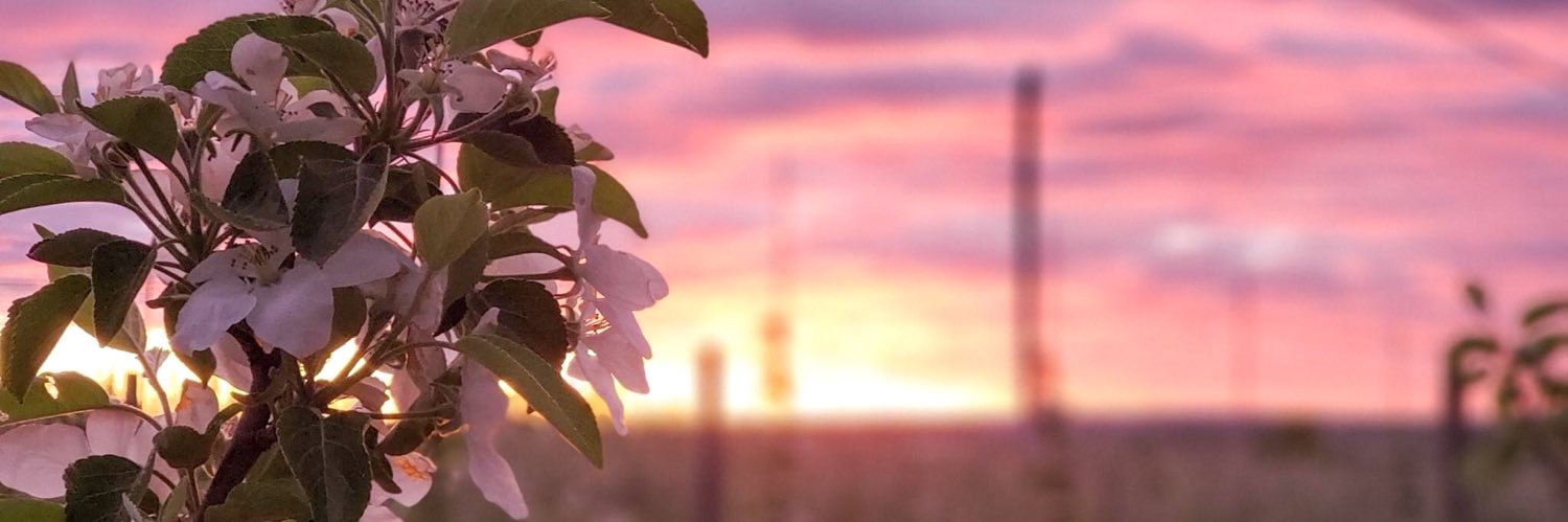 Thomas Southall banner