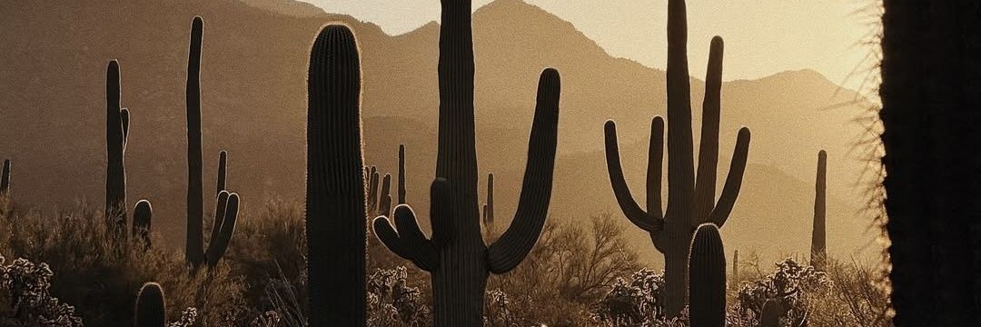 Erica_carr5's profile banner image