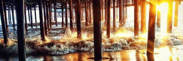 writer_wild Profile Banner