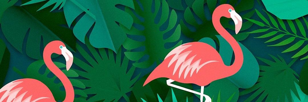 luciaparre's profile banner image