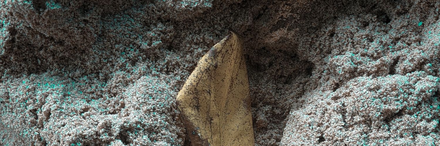 asrafif_03's profile banner image