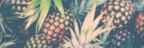 leondredevriesx's profile banner image