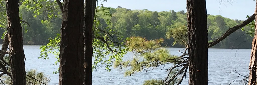 JenMHemphill's profile banner image