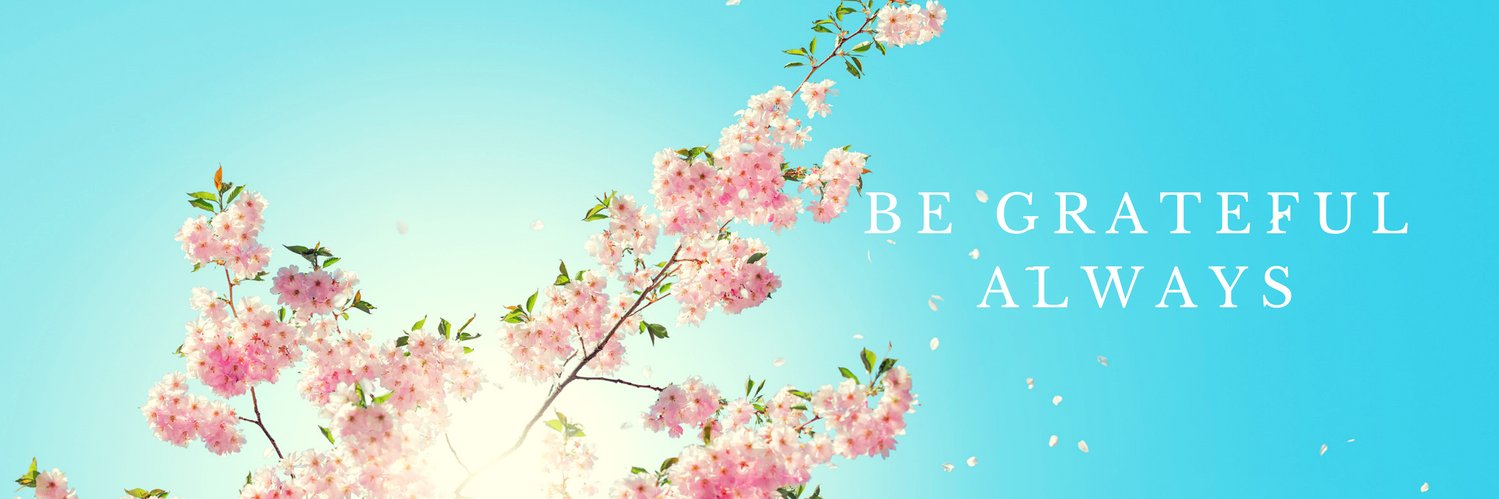 dmilenab's profile banner image