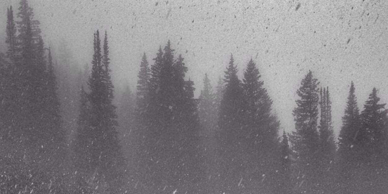 jason danielson banner