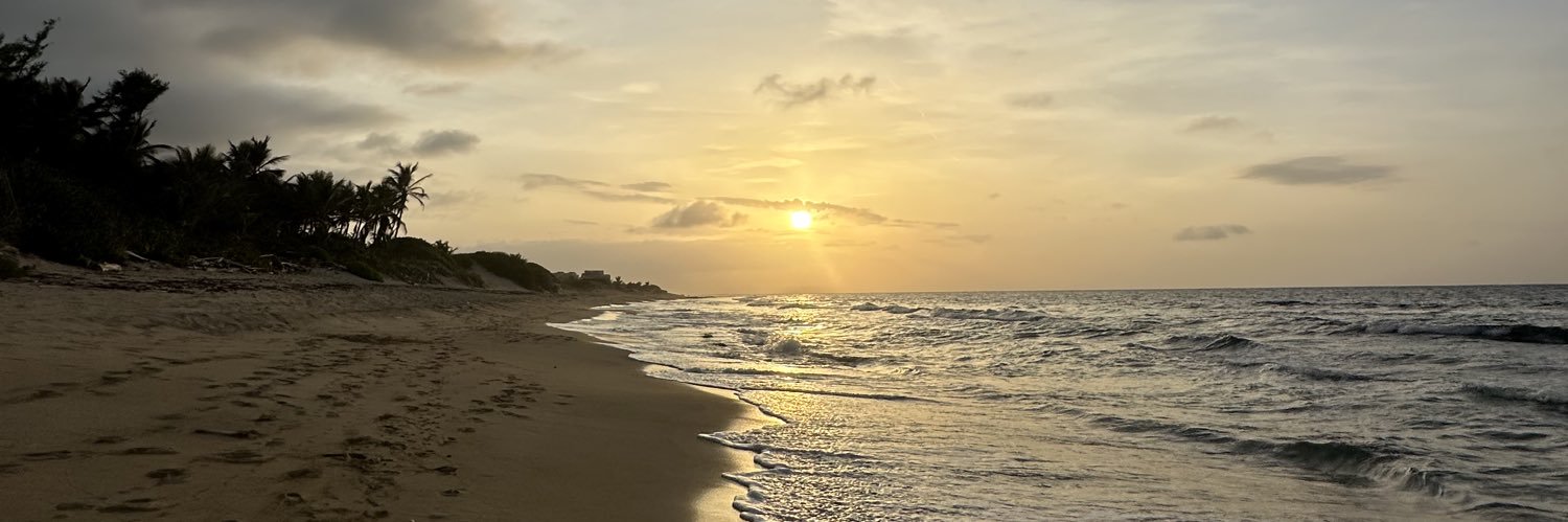 AidnysM's profile banner image