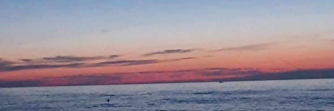 Sows233333's profile banner image