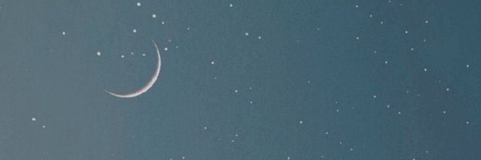 AnyaKom's profile banner image