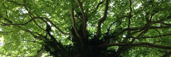 themikehm Profile Banner