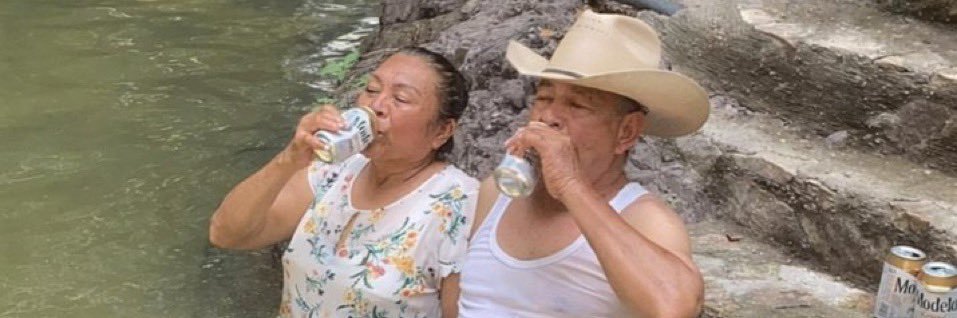 ಸಸ್ಯ ಆಧಾರಿತ ಪಾಪಿ banner