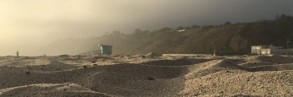 FelCassan Profile Banner