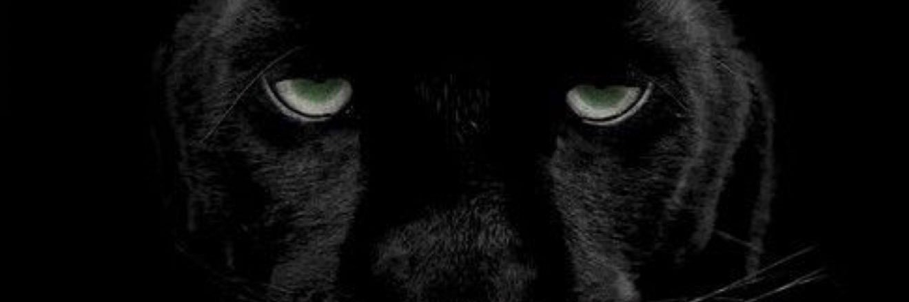 Meshal khalid | مشعل بن خالد banner