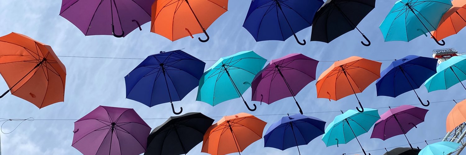 Rebecca Taylor banner