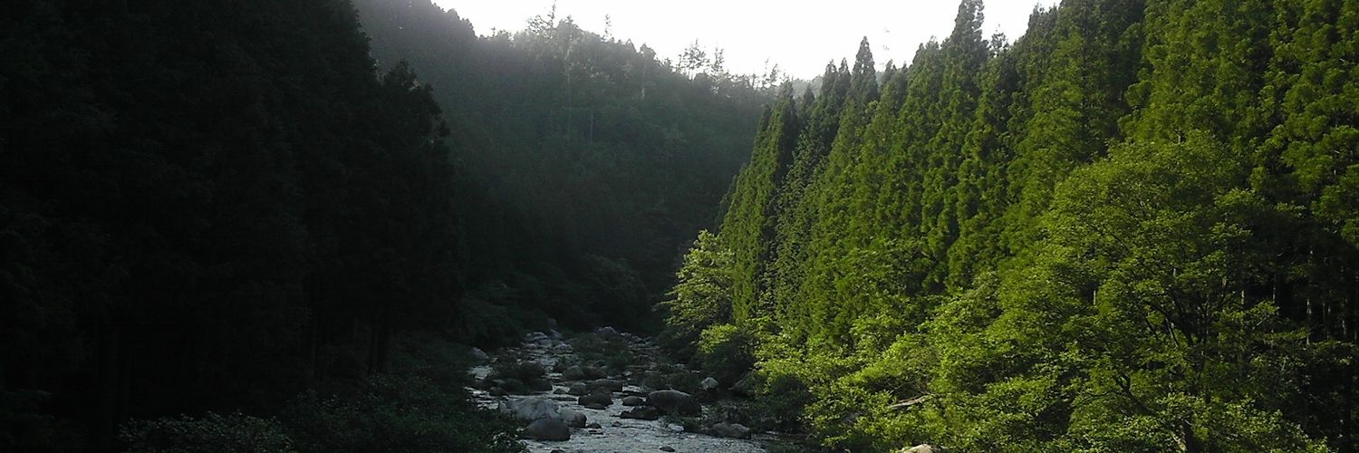 ashimaka02's profile banner image