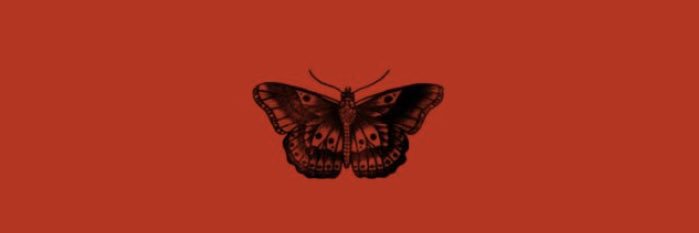 HaleyBarron_'s profile banner image