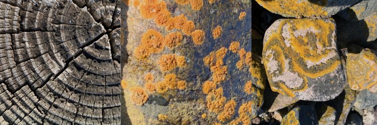 Imaginations Journal banner