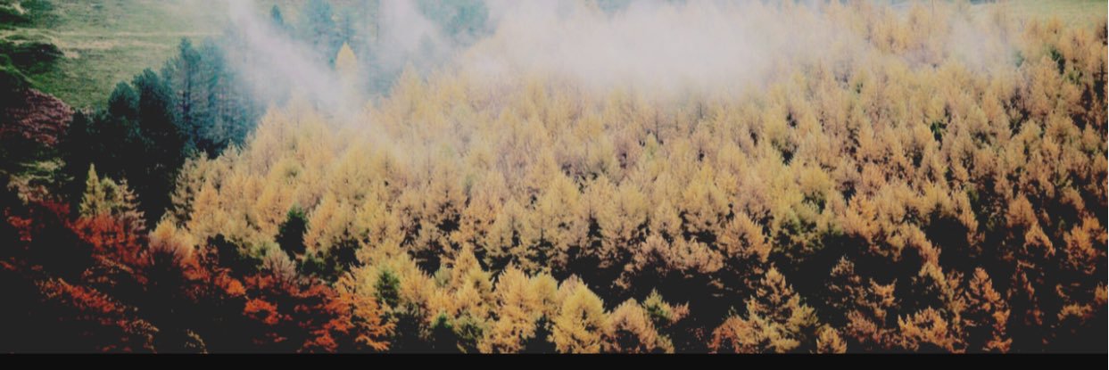 katebeamiller's profile banner image