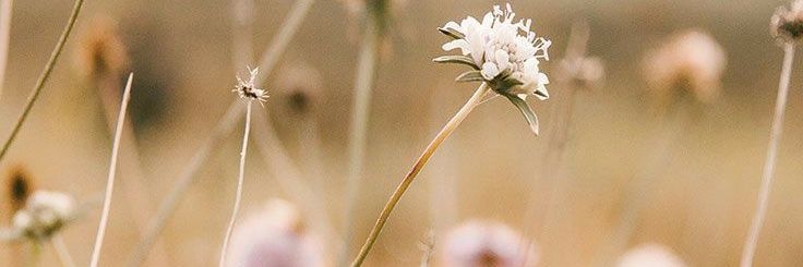 WNhasniyati's profile banner image