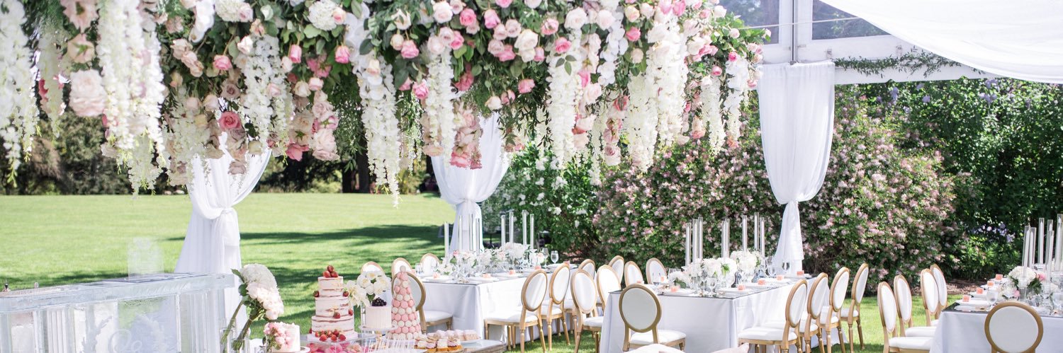 Aly Armstrong banner