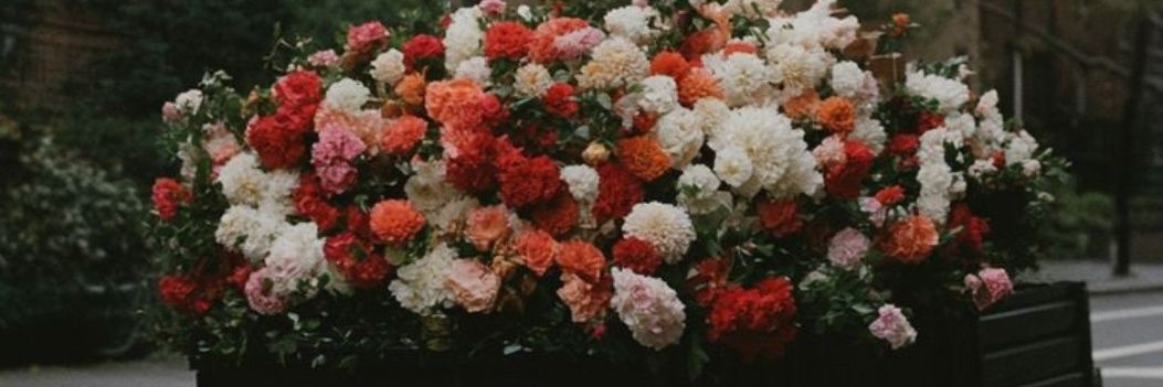 sunbutcold's profile banner image