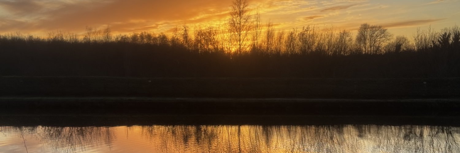 💜 Suzy Joyner 💜 banner