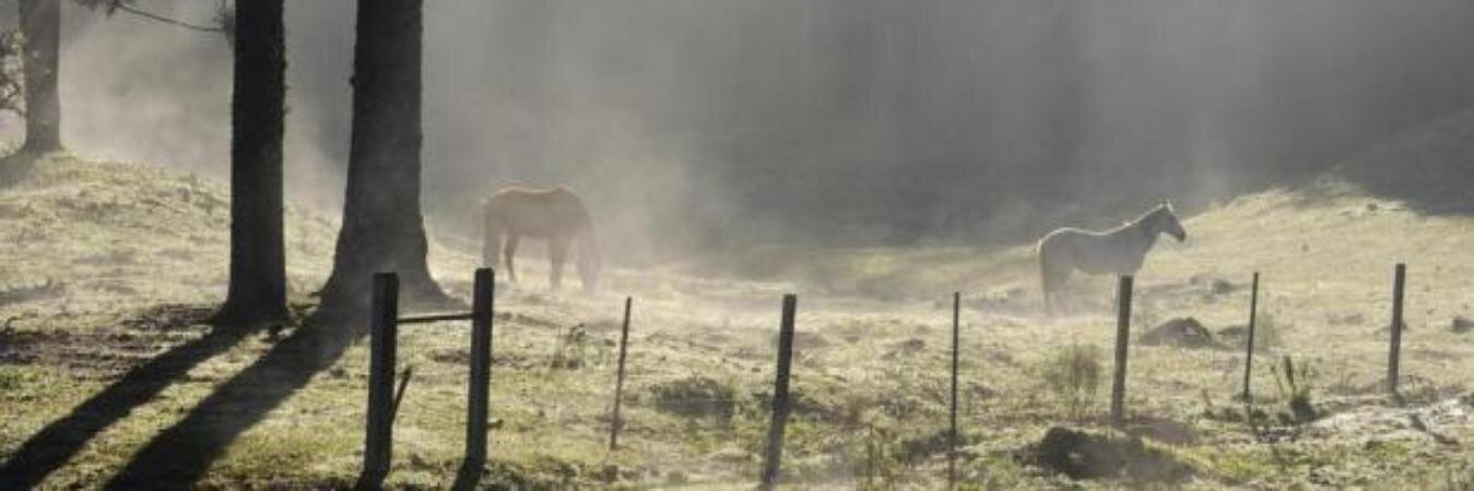 Moises__Vaz's profile banner image