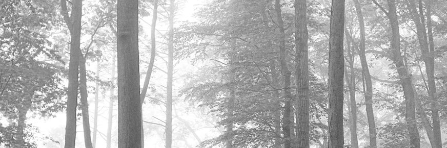 ScottishLovatic's profile banner image