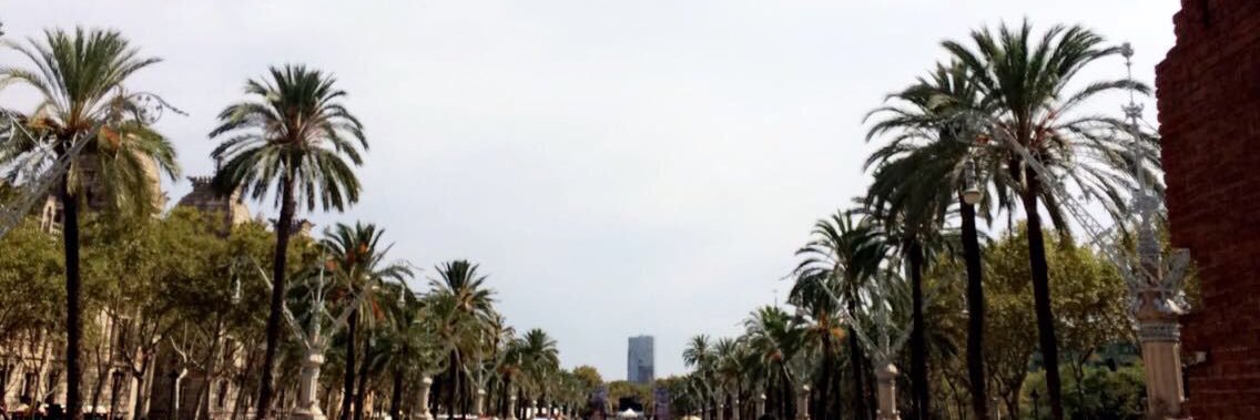 Laura_VanTricht's profile banner image