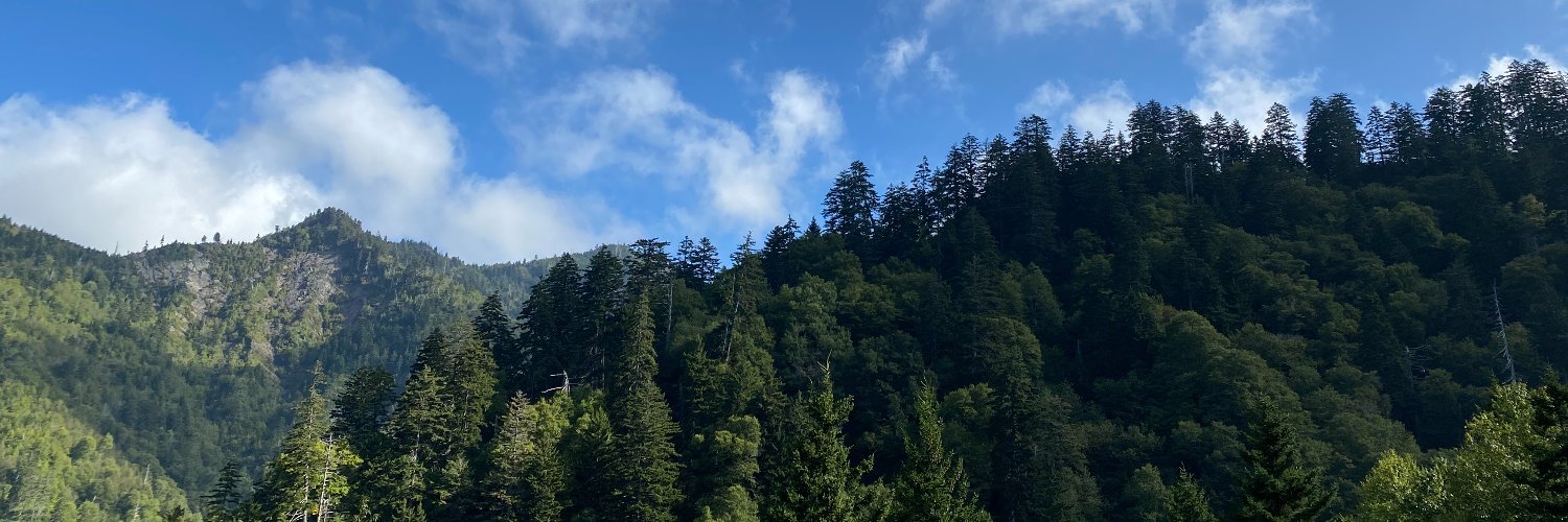 outtheother's profile banner image