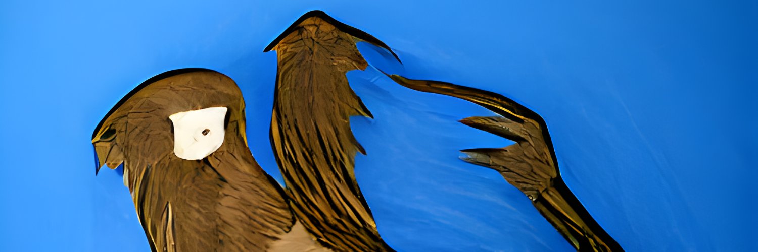 SfengaSfenga's profile banner image