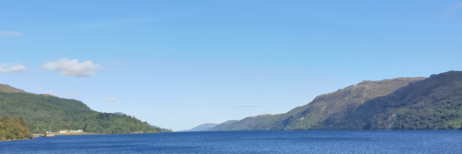 Steve Constable banner