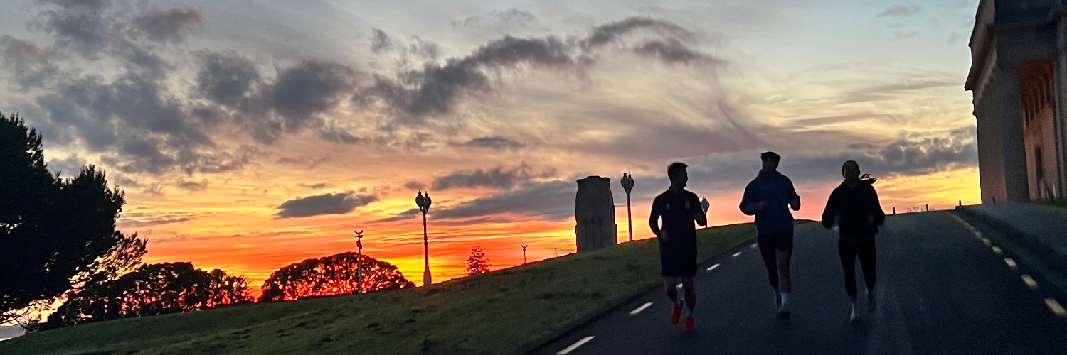 raza (76/100 fits) banner