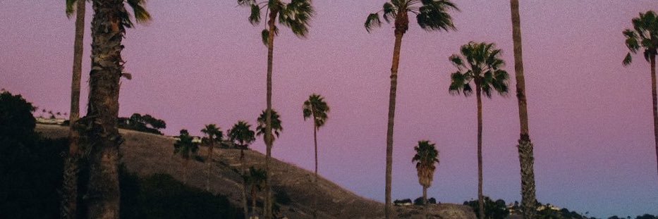 Edris A banner