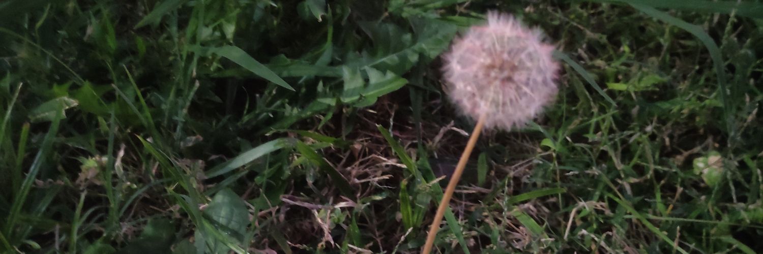 Danny5249's profile banner image