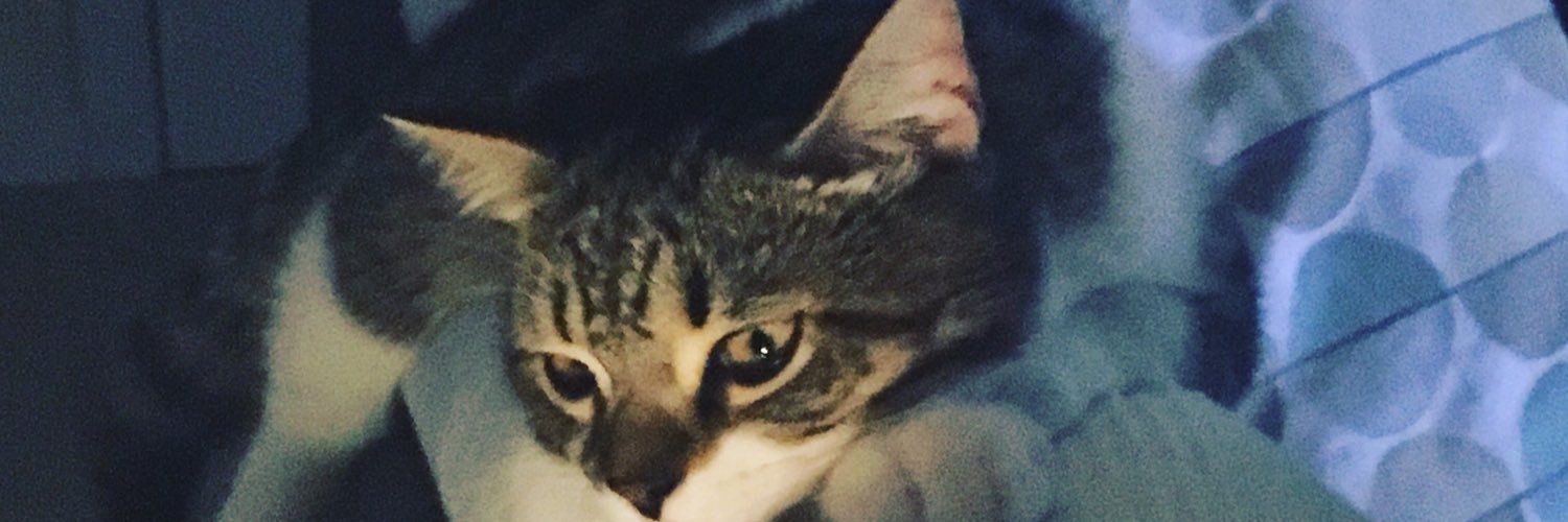 tronkolmb's profile banner image